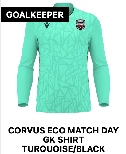 Corvus GK Shirt Turquoise